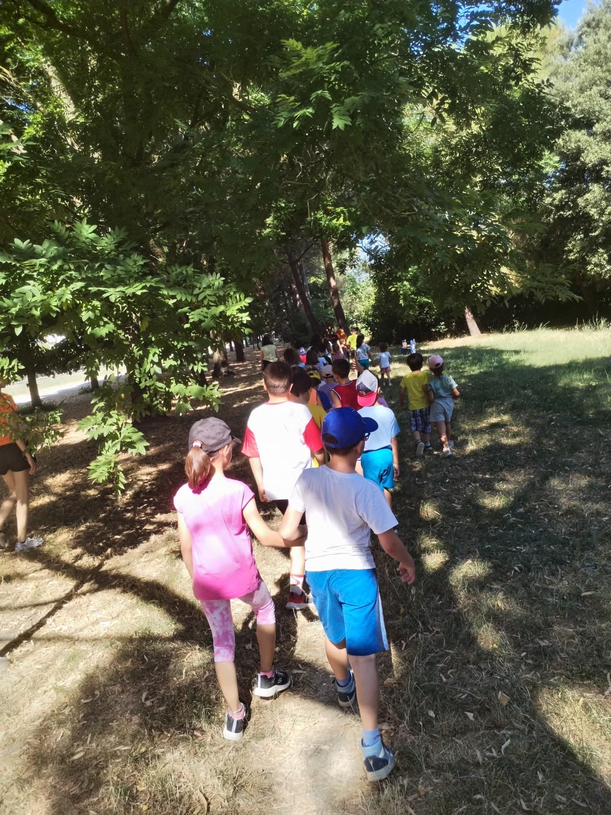 Corsi estivi Kids ADC, foto 14
